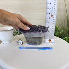 Polished Amethyst Flower 4.62 lbs & 3.8" Tall 5609 - 0045 - Brazil GemsBrazil GemsPolished Amethyst Flower 4.62 lbs & 3.8" Tall 5609 - 0045Crystal Flowers5609 - 0045
