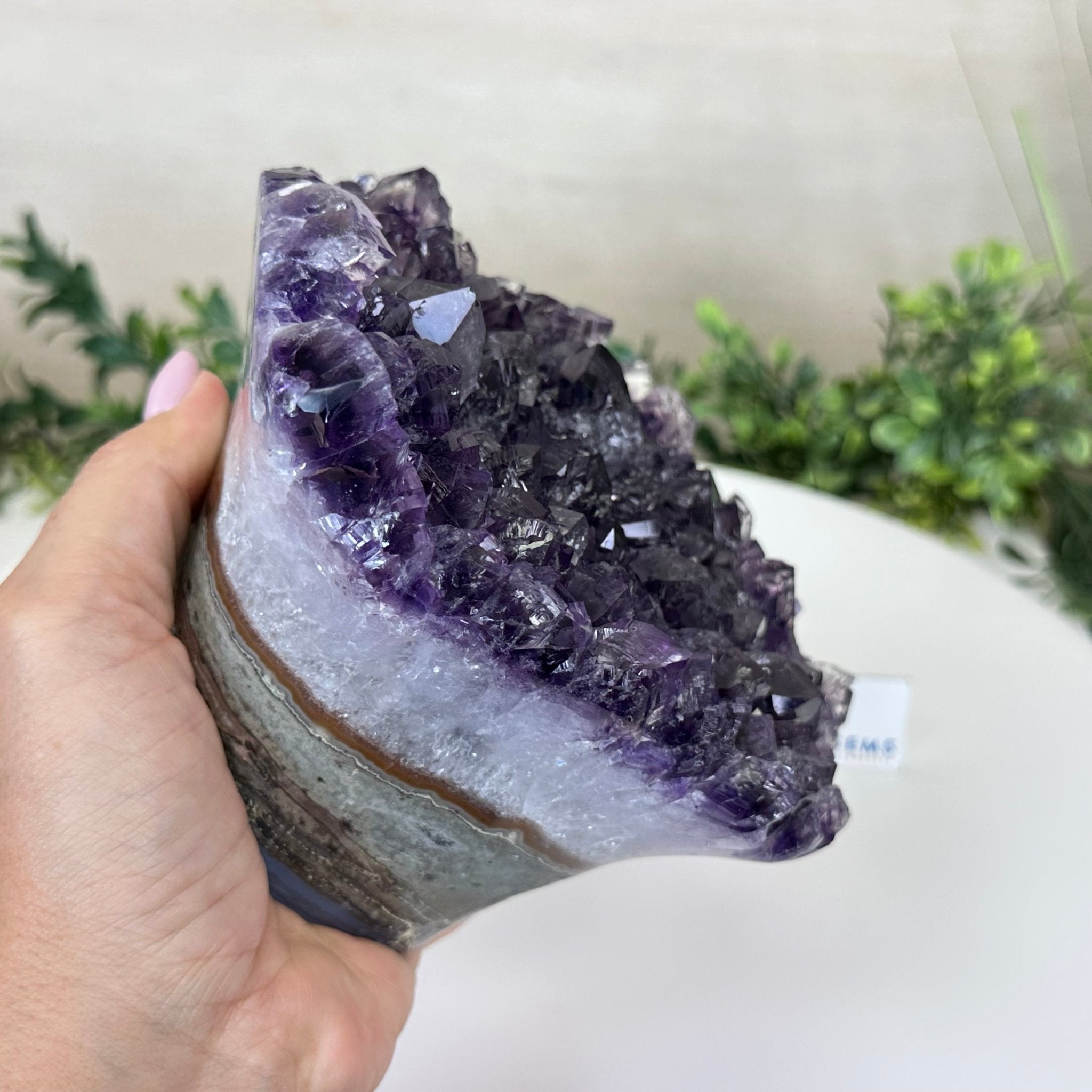 Polished Amethyst Flower 4.62 lbs & 3.8" Tall 5609 - 0045 - Brazil GemsBrazil GemsPolished Amethyst Flower 4.62 lbs & 3.8" Tall 5609 - 0045Crystal Flowers5609 - 0045