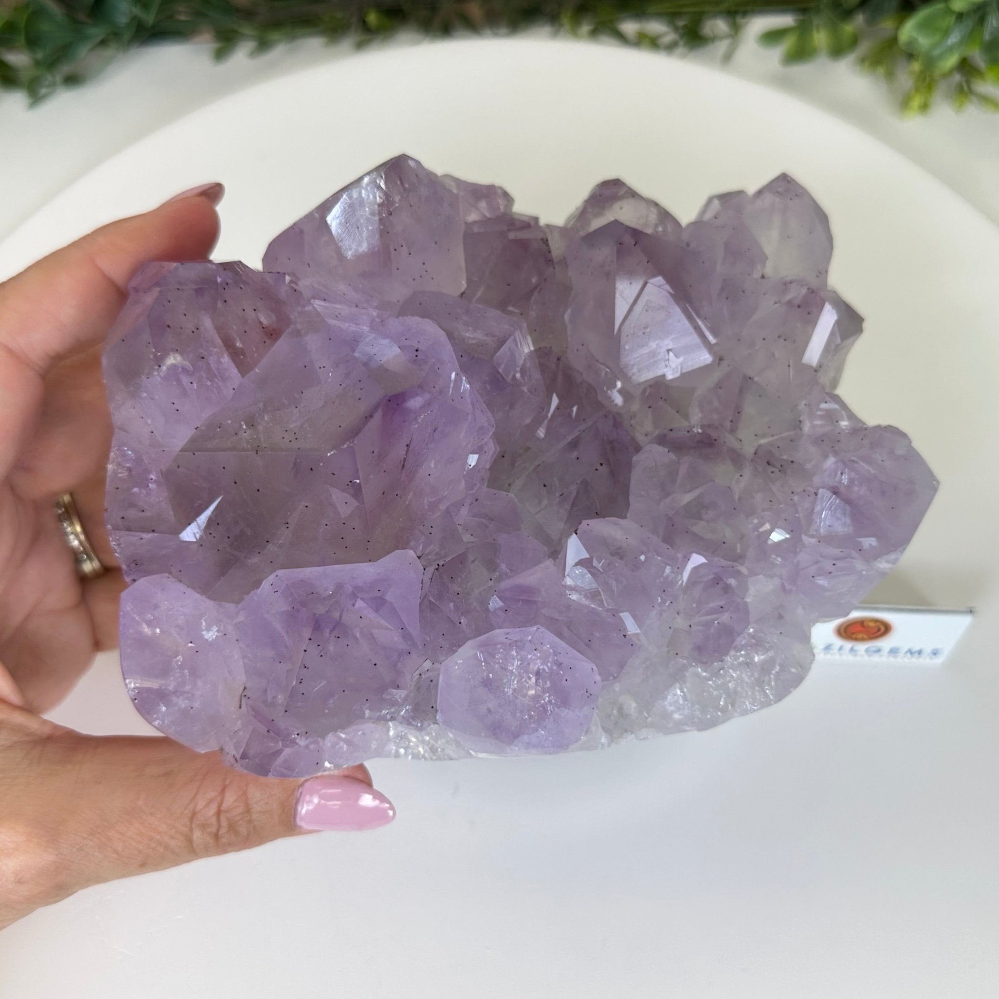 Polished Amethyst Flower 5.51 lbs & 5.1" Tall 5609 - 0046 - Brazil GemsBrazil GemsPolished Amethyst Flower 5.51 lbs & 5.1" Tall 5609 - 0046Crystal Flowers5609 - 0046