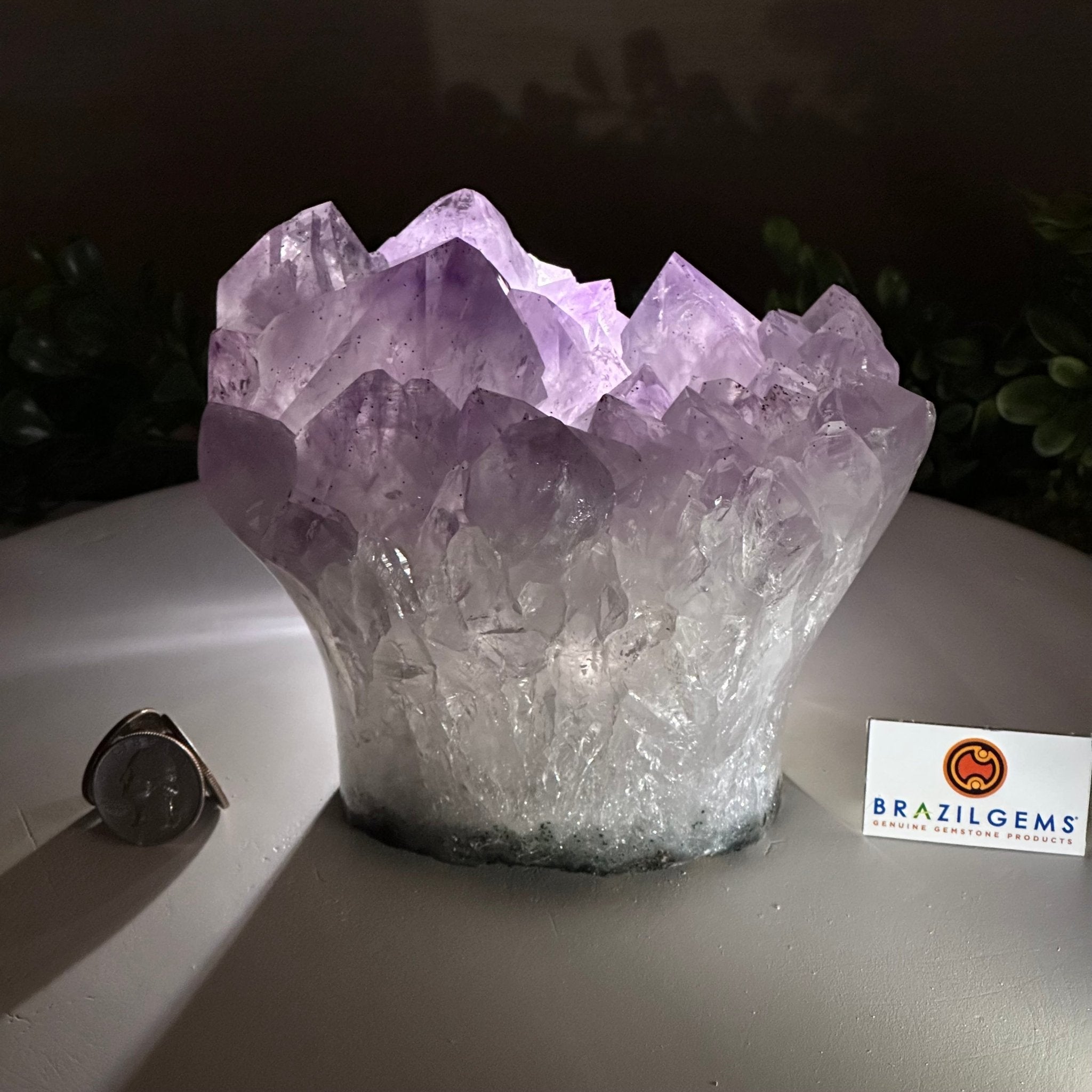 Polished Amethyst Flower 5.51 lbs & 5.1" Tall 5609 - 0046 - Brazil GemsBrazil GemsPolished Amethyst Flower 5.51 lbs & 5.1" Tall 5609 - 0046Crystal Flowers5609 - 0046