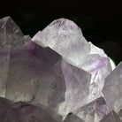 Polished Amethyst Flower 5.51 lbs & 5.1" Tall 5609 - 0046 - Brazil GemsBrazil GemsPolished Amethyst Flower 5.51 lbs & 5.1" Tall 5609 - 0046Crystal Flowers5609 - 0046