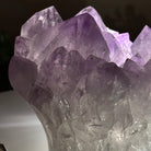 Polished Amethyst Flower 5.51 lbs & 5.1" Tall 5609 - 0046 - Brazil GemsBrazil GemsPolished Amethyst Flower 5.51 lbs & 5.1" Tall 5609 - 0046Crystal Flowers5609 - 0046