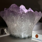 Polished Amethyst Flower 5.51 lbs & 5.1" Tall 5609 - 0046 - Brazil GemsBrazil GemsPolished Amethyst Flower 5.51 lbs & 5.1" Tall 5609 - 0046Crystal Flowers5609 - 0046