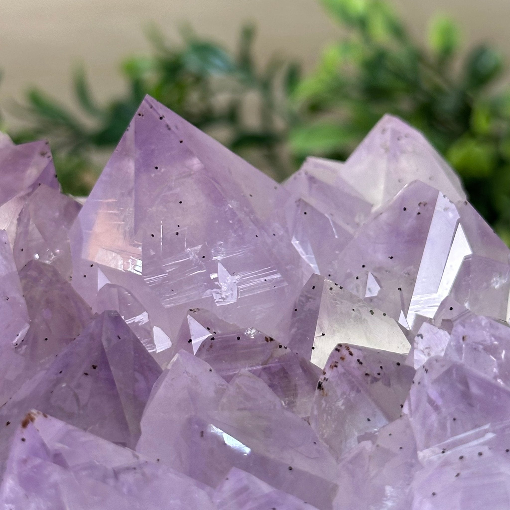 Polished Amethyst Flower 5.51 lbs & 5.1" Tall 5609 - 0046 - Brazil GemsBrazil GemsPolished Amethyst Flower 5.51 lbs & 5.1" Tall 5609 - 0046Crystal Flowers5609 - 0046