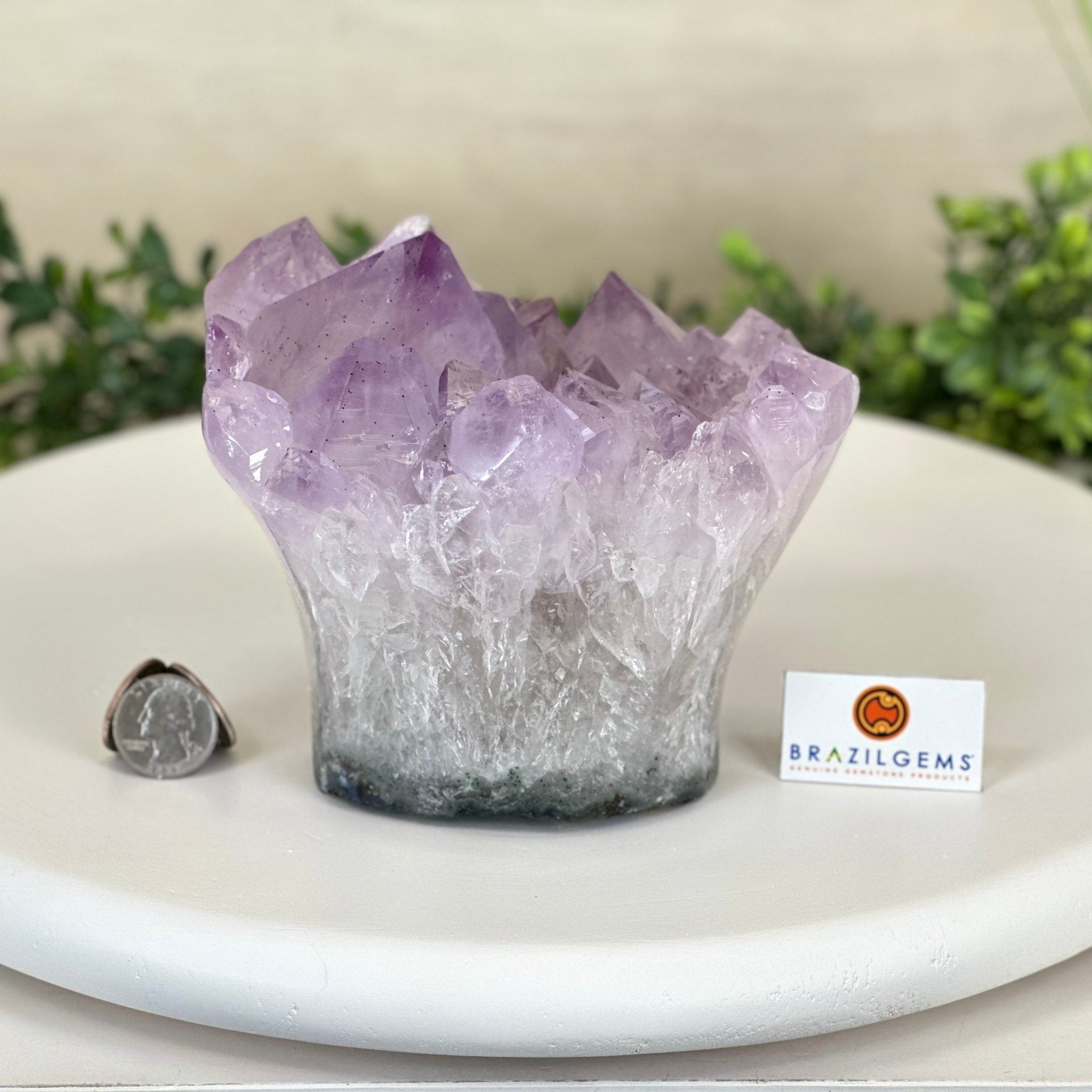 Polished Amethyst Flower 5.51 lbs & 5.1" Tall 5609 - 0046 - Brazil GemsBrazil GemsPolished Amethyst Flower 5.51 lbs & 5.1" Tall 5609 - 0046Crystal Flowers5609 - 0046
