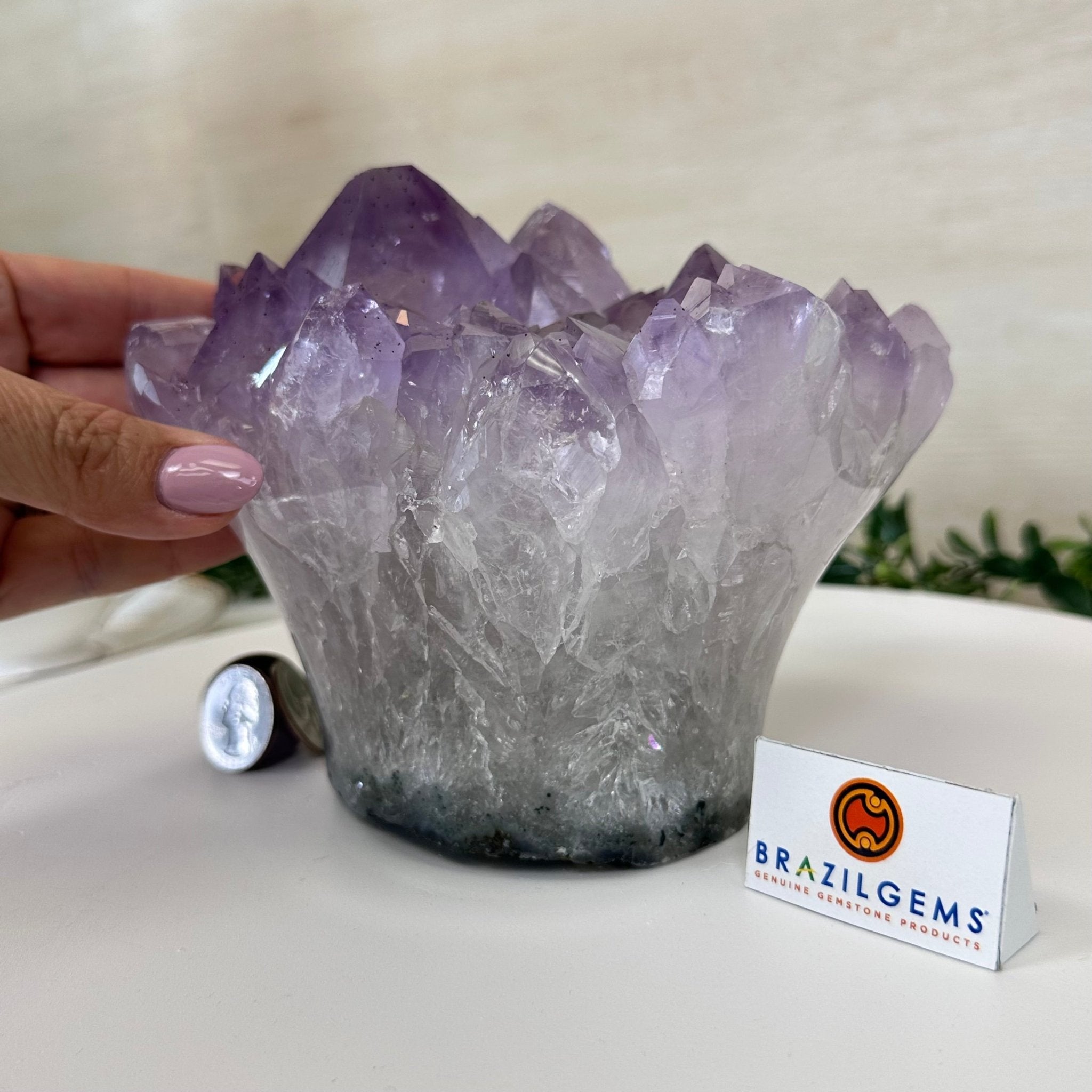 Polished Amethyst Flower 5.51 lbs & 5.1" Tall 5609 - 0046 - Brazil GemsBrazil GemsPolished Amethyst Flower 5.51 lbs & 5.1" Tall 5609 - 0046Crystal Flowers5609 - 0046