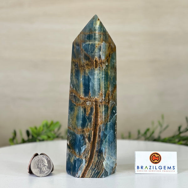 Blue Onyx Points