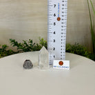 Polished Clear Quartz Crystal Tower 2.7" Tall #3106CQ - 011 - Brazil GemsBrazil GemsPolished Clear Quartz Crystal Tower 2.7" Tall #3106CQ - 011Crystal Points3106CQ - 011