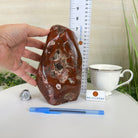 Polished Freeform African Red Jasper Gemstone, 5.5 lbs & 7.4” Tall #3301AJ - 001 - Brazil GemsBrazil GemsPolished Freeform African Red Jasper Gemstone, 5.5 lbs & 7.4” Tall #3301AJ - 001Freeform & Unique Shapes3301AJ - 001