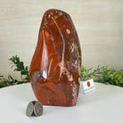 Polished Freeform African Red Jasper Gemstone, 5.5 lbs & 7.4” Tall #3301AJ - 001 - Brazil GemsBrazil GemsPolished Freeform African Red Jasper Gemstone, 5.5 lbs & 7.4” Tall #3301AJ - 001Freeform & Unique Shapes3301AJ - 001