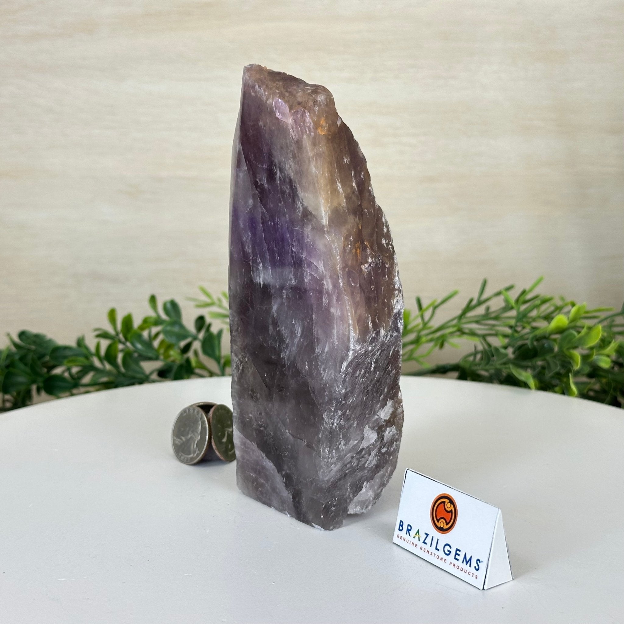 Polished Freeform Amethyst Gemstone, 2.2 lbs & 6.6” Tall #3303AM - 001 - Brazil GemsBrazil GemsPolished Freeform Amethyst Gemstone, 2.2 lbs & 6.6” Tall #3303AM - 001Freeform & Unique Shapes3303AM - 001