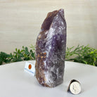 Polished Freeform Amethyst Gemstone, 2.2 lbs & 6.6” Tall #3303AM - 001 - Brazil GemsBrazil GemsPolished Freeform Amethyst Gemstone, 2.2 lbs & 6.6” Tall #3303AM - 001Freeform & Unique Shapes3303AM - 001