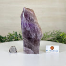 Polished Freeform Amethyst Gemstone, 2.2 lbs & 6.6” Tall #3303AM - 001 - Brazil GemsBrazil GemsPolished Freeform Amethyst Gemstone, 2.2 lbs & 6.6” Tall #3303AM - 001Freeform & Unique Shapes3303AM - 001