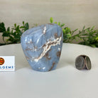 Polished Freeform Angelite Gemstone, 0.8 lbs & 3.3” Tall #3301AL - 001 - Brazil GemsBrazil GemsPolished Freeform Angelite Gemstone, 0.8 lbs & 3.3” Tall #3301AL - 001Freeform & Unique Shapes3301AL - 001