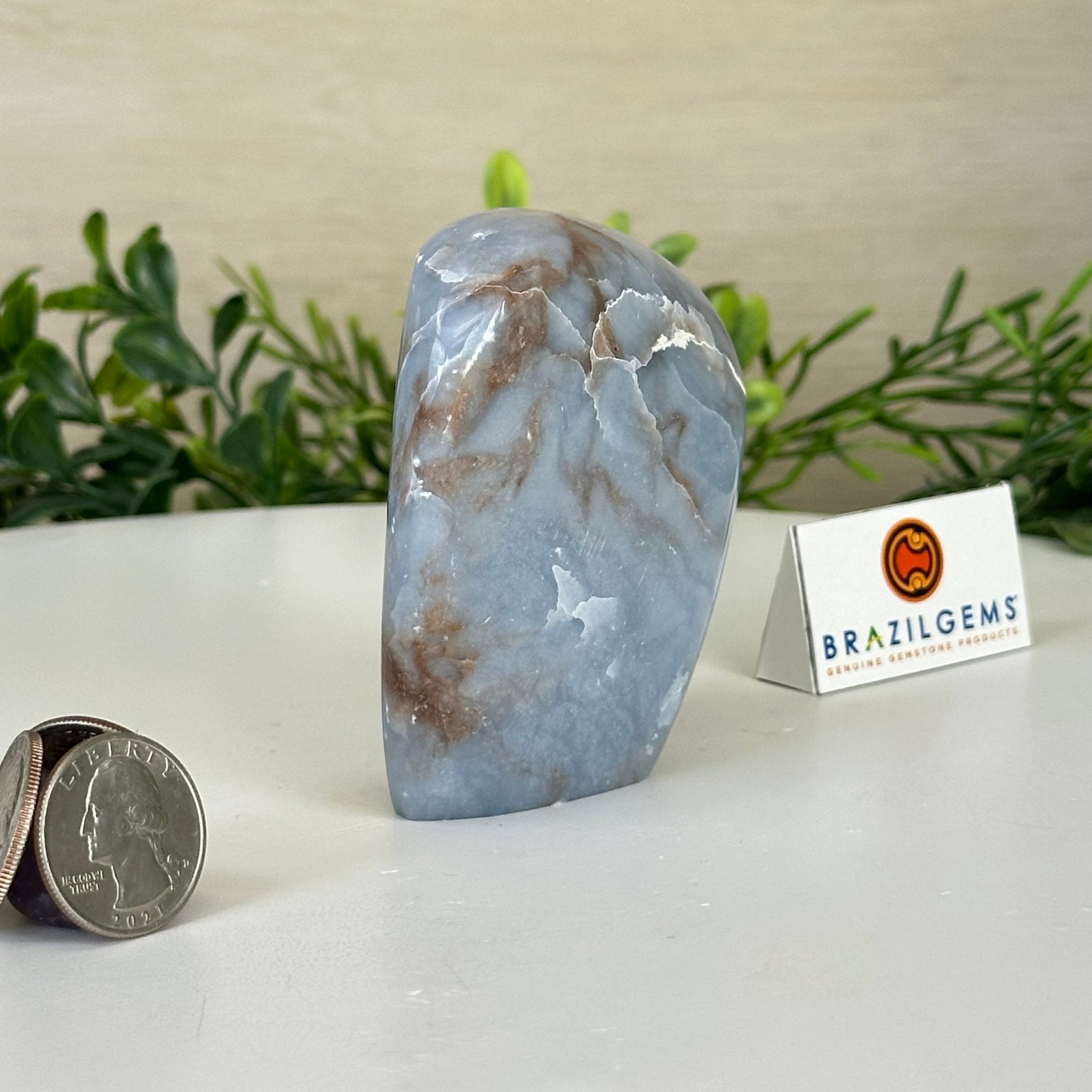 Polished Freeform Angelite Gemstone, 0.8 lbs & 3.3” Tall #3301AL - 001 - Brazil GemsBrazil GemsPolished Freeform Angelite Gemstone, 0.8 lbs & 3.3” Tall #3301AL - 001Freeform & Unique Shapes3301AL - 001