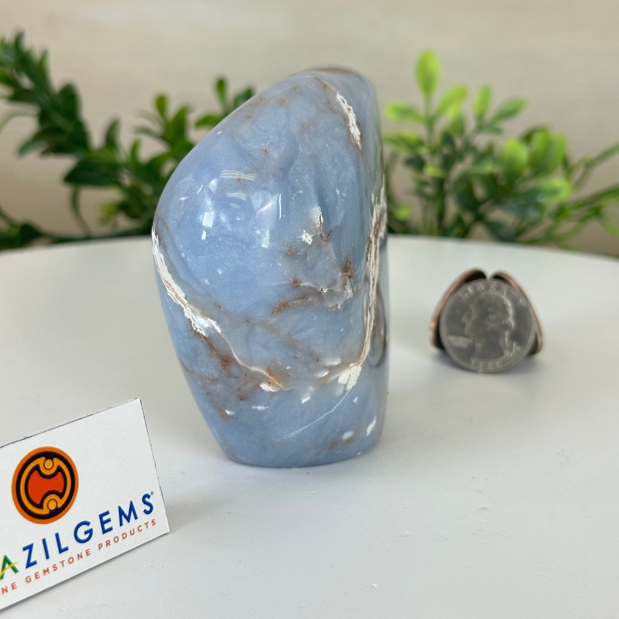 Polished Freeform Angelite Gemstone, 0.8 lbs & 3.3” Tall #3301AL - 001 - Brazil GemsBrazil GemsPolished Freeform Angelite Gemstone, 0.8 lbs & 3.3” Tall #3301AL - 001Freeform & Unique Shapes3301AL - 001