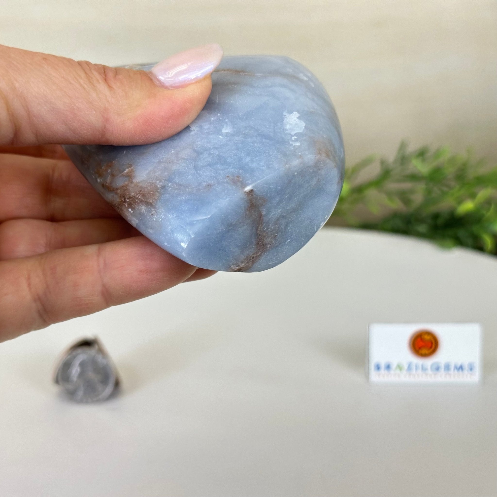 Polished Freeform Angelite Gemstone, 0.8 lbs & 3.3” Tall #3301AL - 001 - Brazil GemsBrazil GemsPolished Freeform Angelite Gemstone, 0.8 lbs & 3.3” Tall #3301AL - 001Freeform & Unique Shapes3301AL - 001