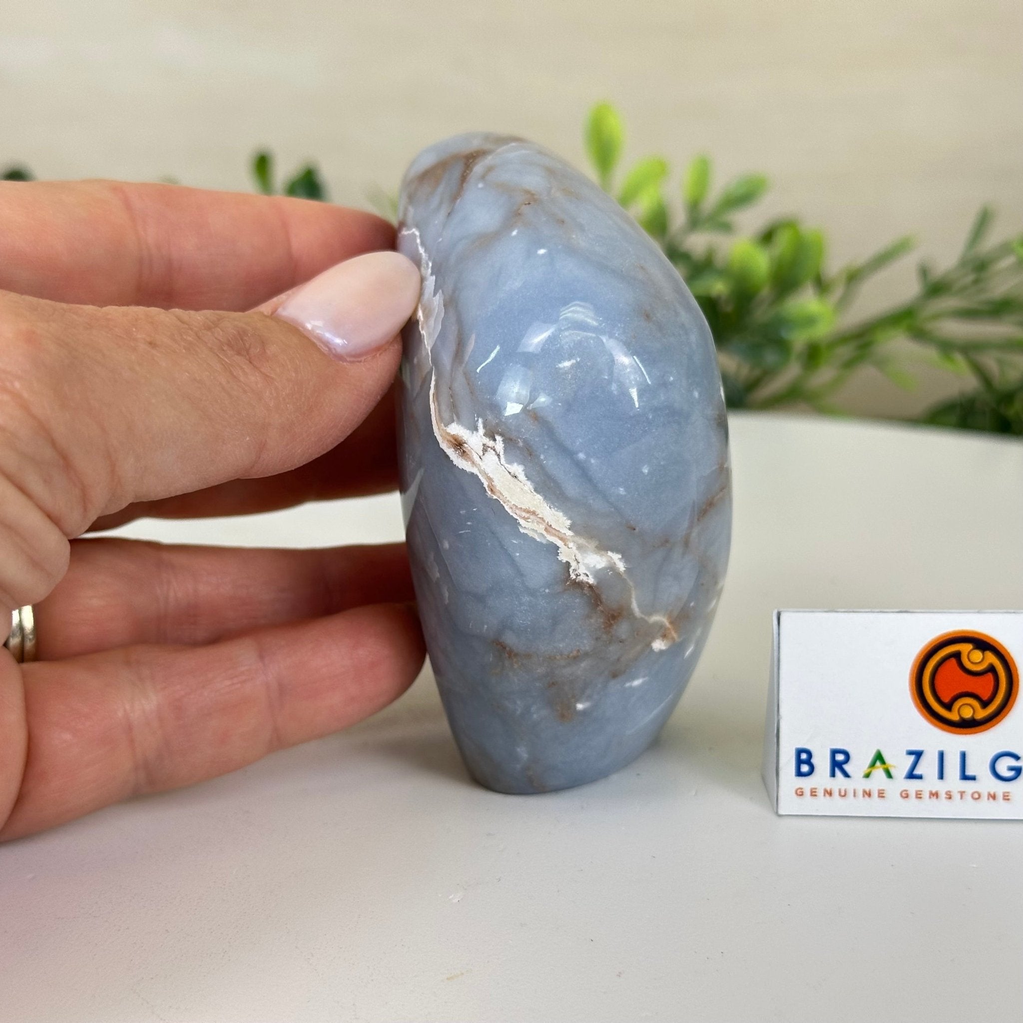 Polished Freeform Angelite Gemstone, 0.8 lbs & 3.3” Tall #3301AL - 001 - Brazil GemsBrazil GemsPolished Freeform Angelite Gemstone, 0.8 lbs & 3.3” Tall #3301AL - 001Freeform & Unique Shapes3301AL - 001