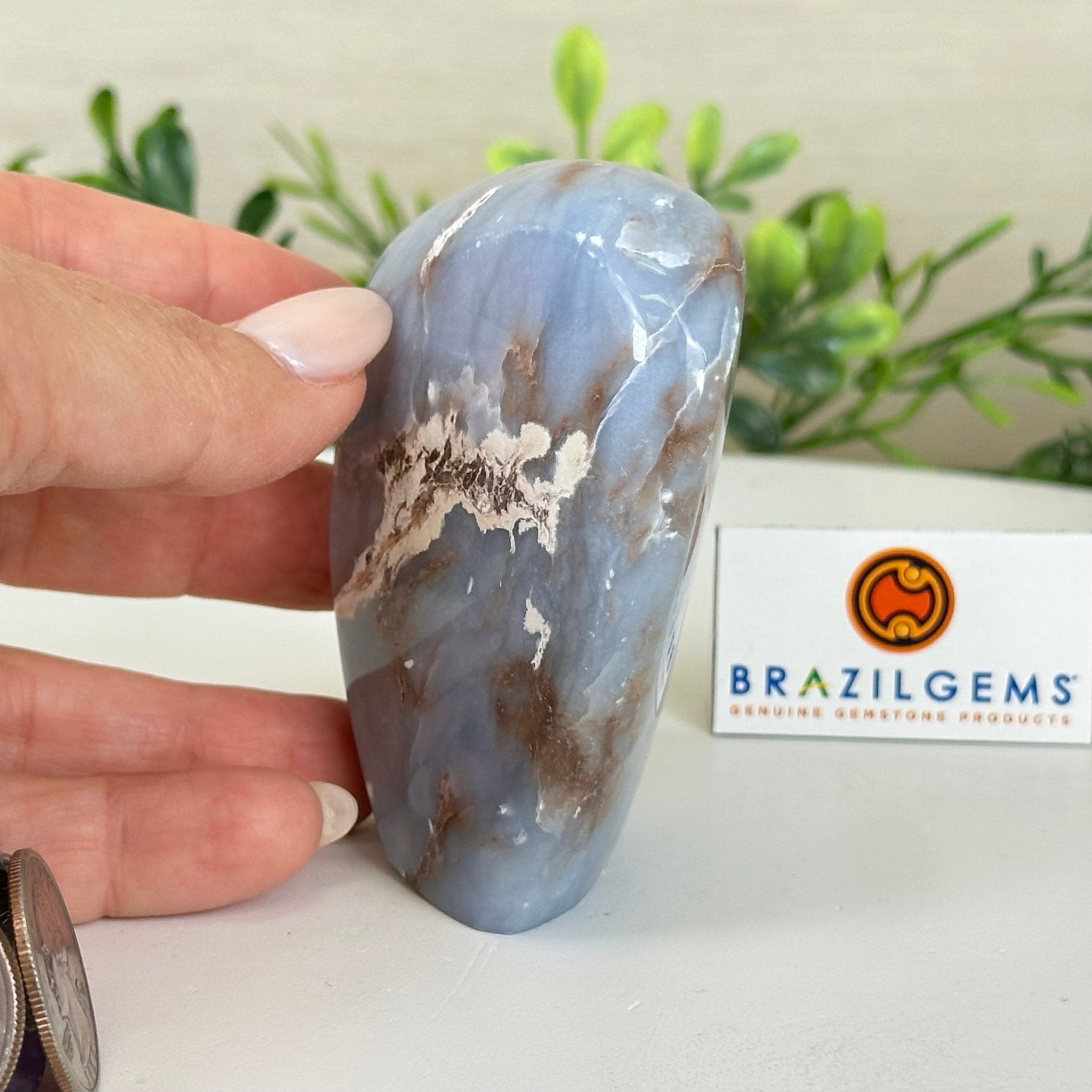 Polished Freeform Angelite Gemstone, 0.8 lbs & 3.3” Tall #3301AL - 001 - Brazil GemsBrazil GemsPolished Freeform Angelite Gemstone, 0.8 lbs & 3.3” Tall #3301AL - 001Freeform & Unique Shapes3301AL - 001