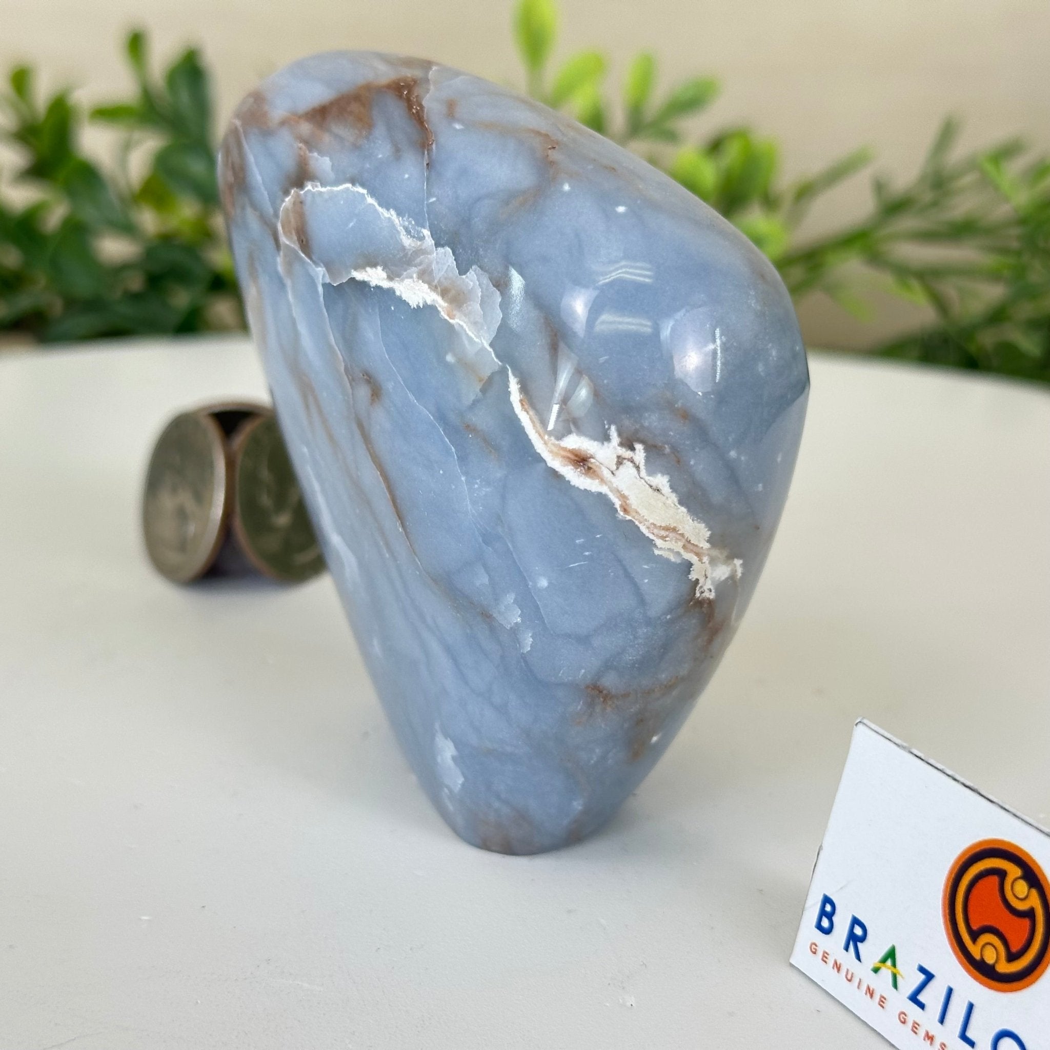 Polished Freeform Angelite Gemstone, 0.8 lbs & 3.3” Tall #3301AL - 001 - Brazil GemsBrazil GemsPolished Freeform Angelite Gemstone, 0.8 lbs & 3.3” Tall #3301AL - 001Freeform & Unique Shapes3301AL - 001
