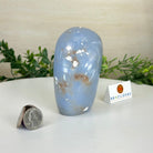 Polished Freeform Angelite Gemstone, 1.3 lbs & 4.2” Tall #3301AL - 004 - Brazil GemsBrazil GemsPolished Freeform Angelite Gemstone, 1.3 lbs & 4.2” Tall #3301AL - 004Freeform & Unique Shapes3301AL - 004