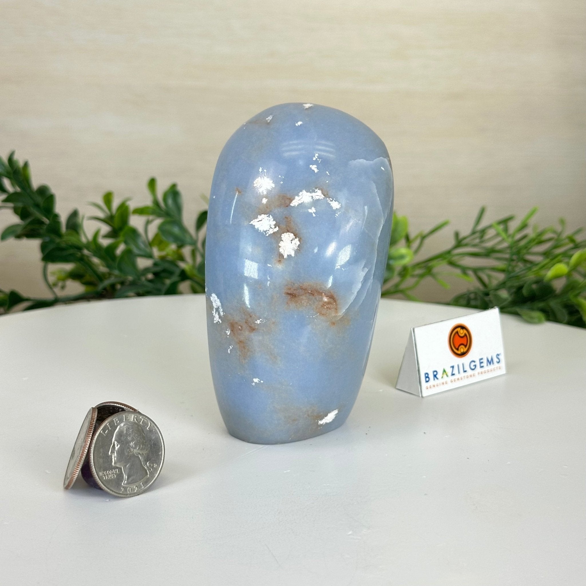 Polished Freeform Angelite Gemstone, 1.3 lbs & 4.2” Tall #3301AL - 004 - Brazil GemsBrazil GemsPolished Freeform Angelite Gemstone, 1.3 lbs & 4.2” Tall #3301AL - 004Freeform & Unique Shapes3301AL - 004