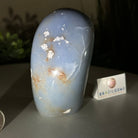Polished Freeform Angelite Gemstone, 1.3 lbs & 4.2” Tall #3301AL - 004 - Brazil GemsBrazil GemsPolished Freeform Angelite Gemstone, 1.3 lbs & 4.2” Tall #3301AL - 004Freeform & Unique Shapes3301AL - 004