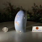 Polished Freeform Angelite Gemstone, 1.3 lbs & 4.2” Tall #3301AL - 004 - Brazil GemsBrazil GemsPolished Freeform Angelite Gemstone, 1.3 lbs & 4.2” Tall #3301AL - 004Freeform & Unique Shapes3301AL - 004