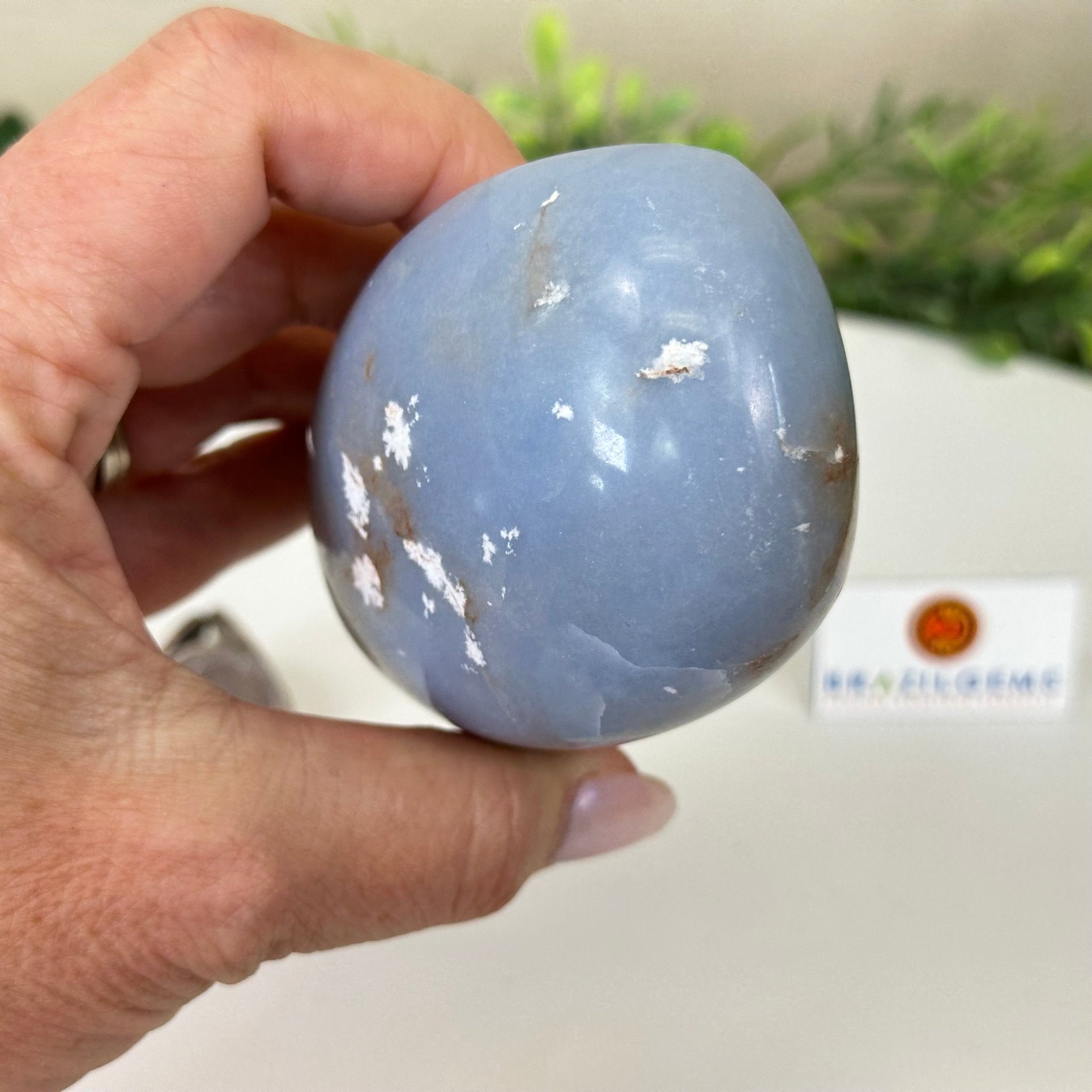 Polished Freeform Angelite Gemstone, 1.3 lbs & 4.2” Tall #3301AL - 004 - Brazil GemsBrazil GemsPolished Freeform Angelite Gemstone, 1.3 lbs & 4.2” Tall #3301AL - 004Freeform & Unique Shapes3301AL - 004