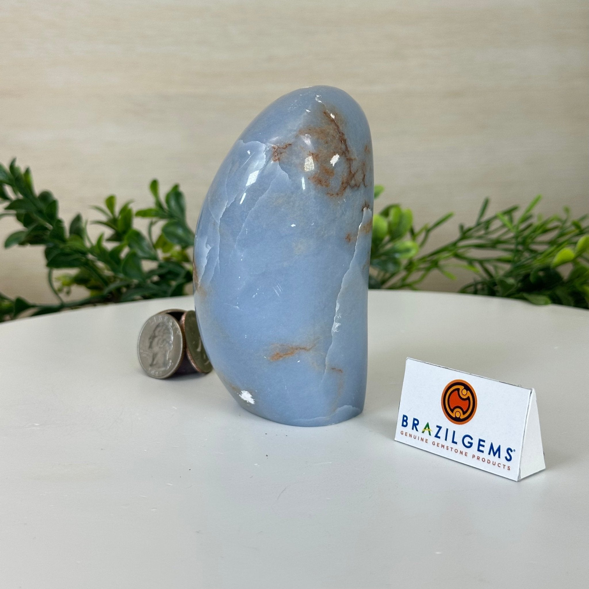 Polished Freeform Angelite Gemstone, 1.3 lbs & 4.2” Tall #3301AL - 004 - Brazil GemsBrazil GemsPolished Freeform Angelite Gemstone, 1.3 lbs & 4.2” Tall #3301AL - 004Freeform & Unique Shapes3301AL - 004