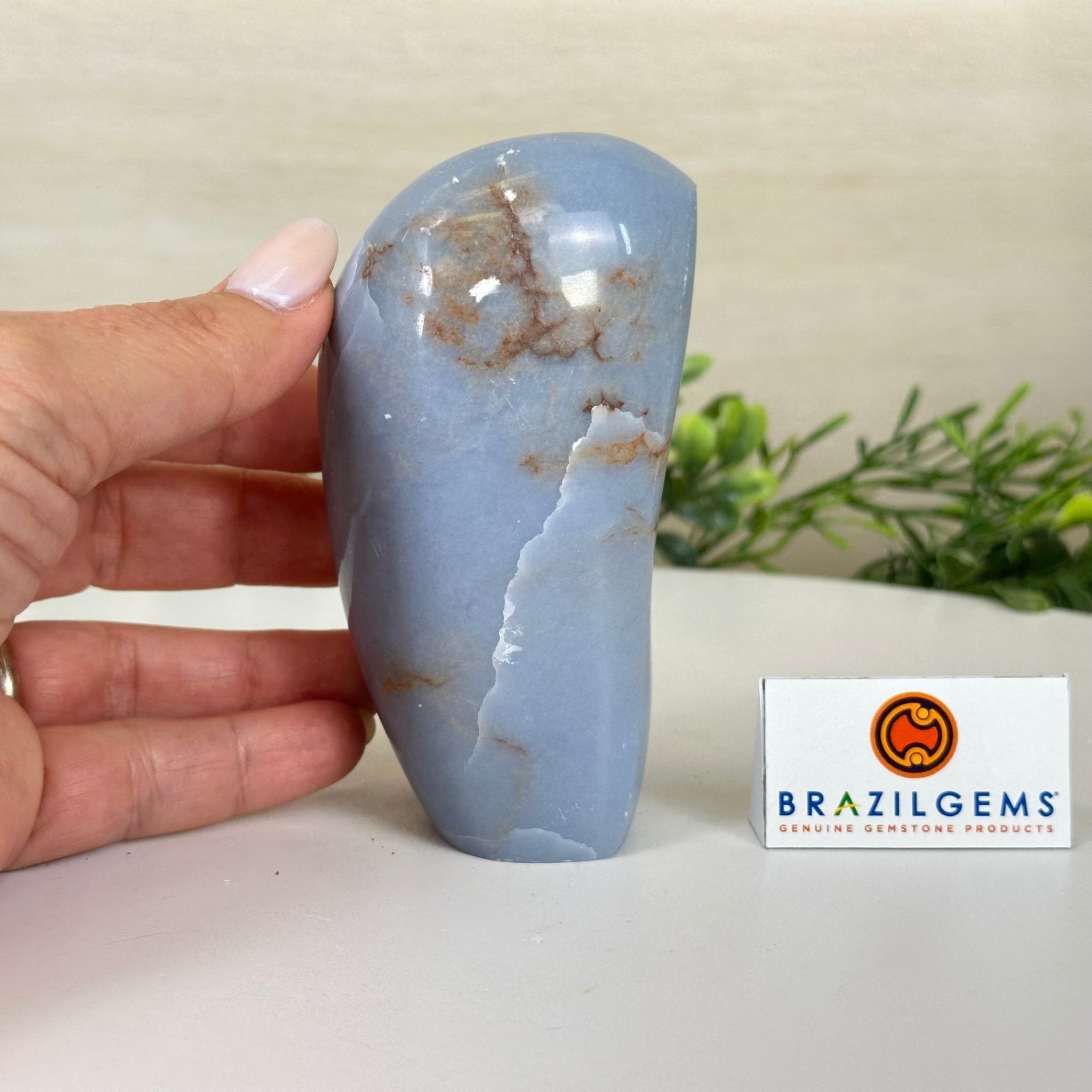 Polished Freeform Angelite Gemstone, 1.3 lbs & 4.2” Tall #3301AL - 004 - Brazil GemsBrazil GemsPolished Freeform Angelite Gemstone, 1.3 lbs & 4.2” Tall #3301AL - 004Freeform & Unique Shapes3301AL - 004
