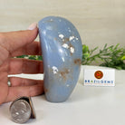 Polished Freeform Angelite Gemstone, 1.3 lbs & 4.2” Tall #3301AL - 004 - Brazil GemsBrazil GemsPolished Freeform Angelite Gemstone, 1.3 lbs & 4.2” Tall #3301AL - 004Freeform & Unique Shapes3301AL - 004
