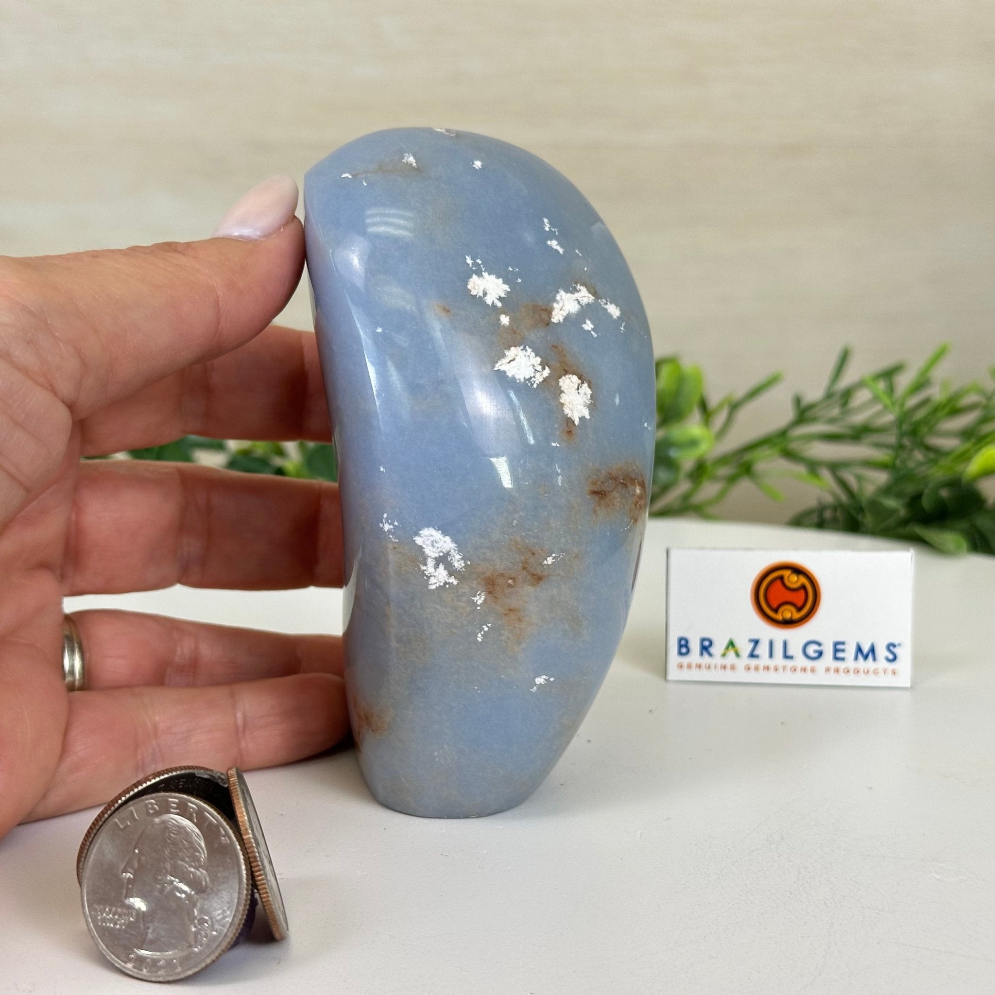 Polished Freeform Angelite Gemstone, 1.3 lbs & 4.2” Tall #3301AL - 004 - Brazil GemsBrazil GemsPolished Freeform Angelite Gemstone, 1.3 lbs & 4.2” Tall #3301AL - 004Freeform & Unique Shapes3301AL - 004