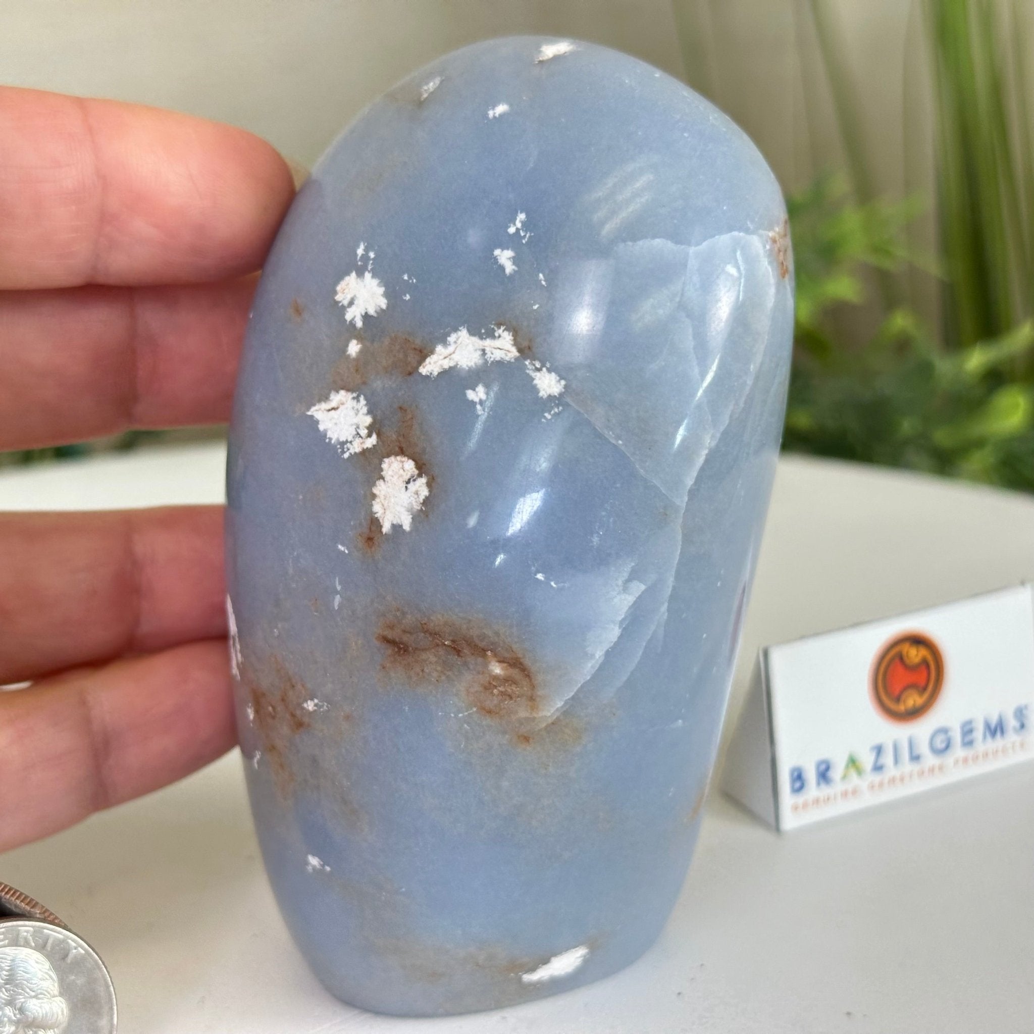 Polished Freeform Angelite Gemstone, 1.3 lbs & 4.2” Tall #3301AL - 004 - Brazil GemsBrazil GemsPolished Freeform Angelite Gemstone, 1.3 lbs & 4.2” Tall #3301AL - 004Freeform & Unique Shapes3301AL - 004