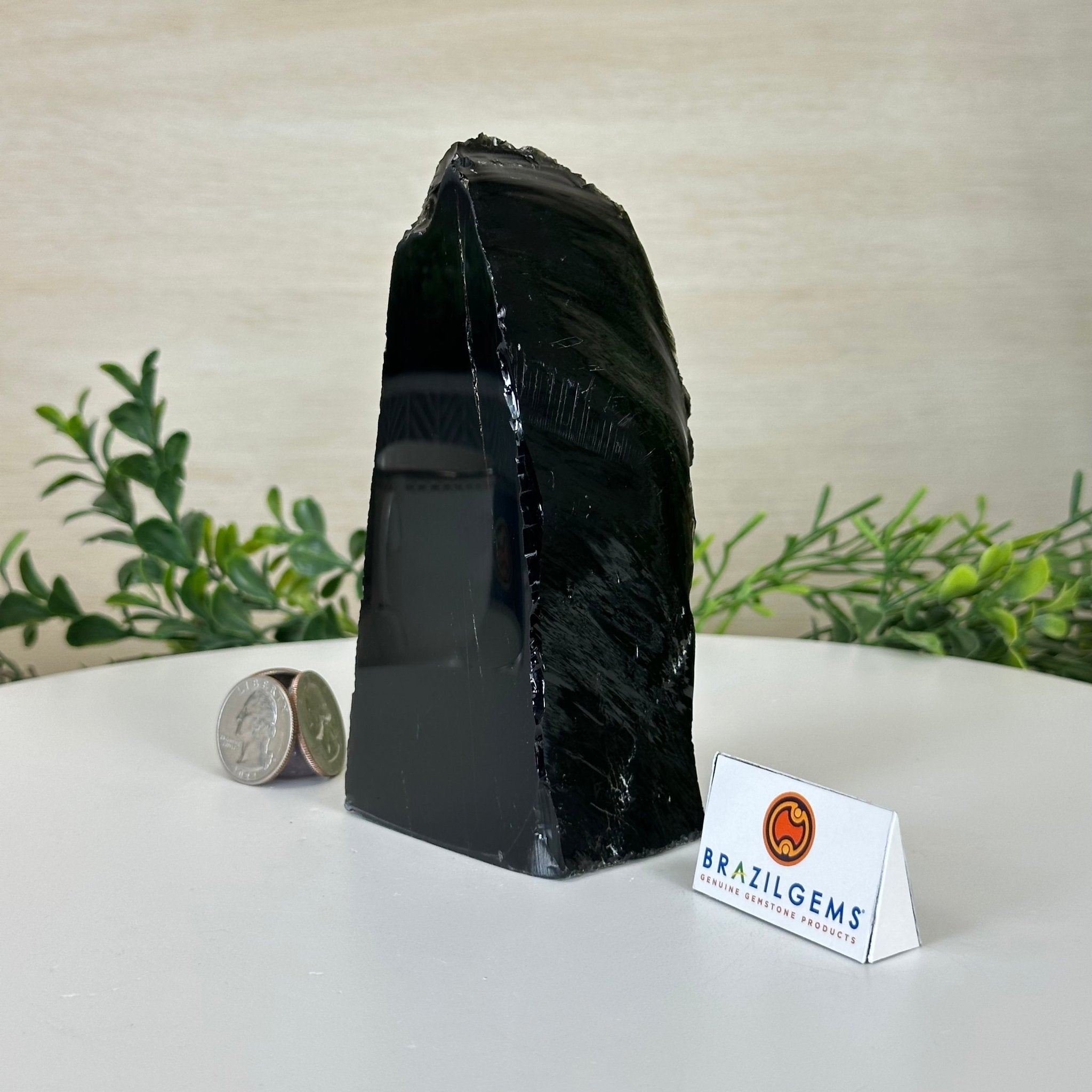 Polished Freeform Black Obsidian Gemstone, 1.3 lbs & 5.5” Tall #3303BK - 002 - Brazil GemsBrazil GemsPolished Freeform Black Obsidian Gemstone, 1.3 lbs & 5.5” Tall #3303BK - 002Freeform & Unique Shapes3303BK - 002