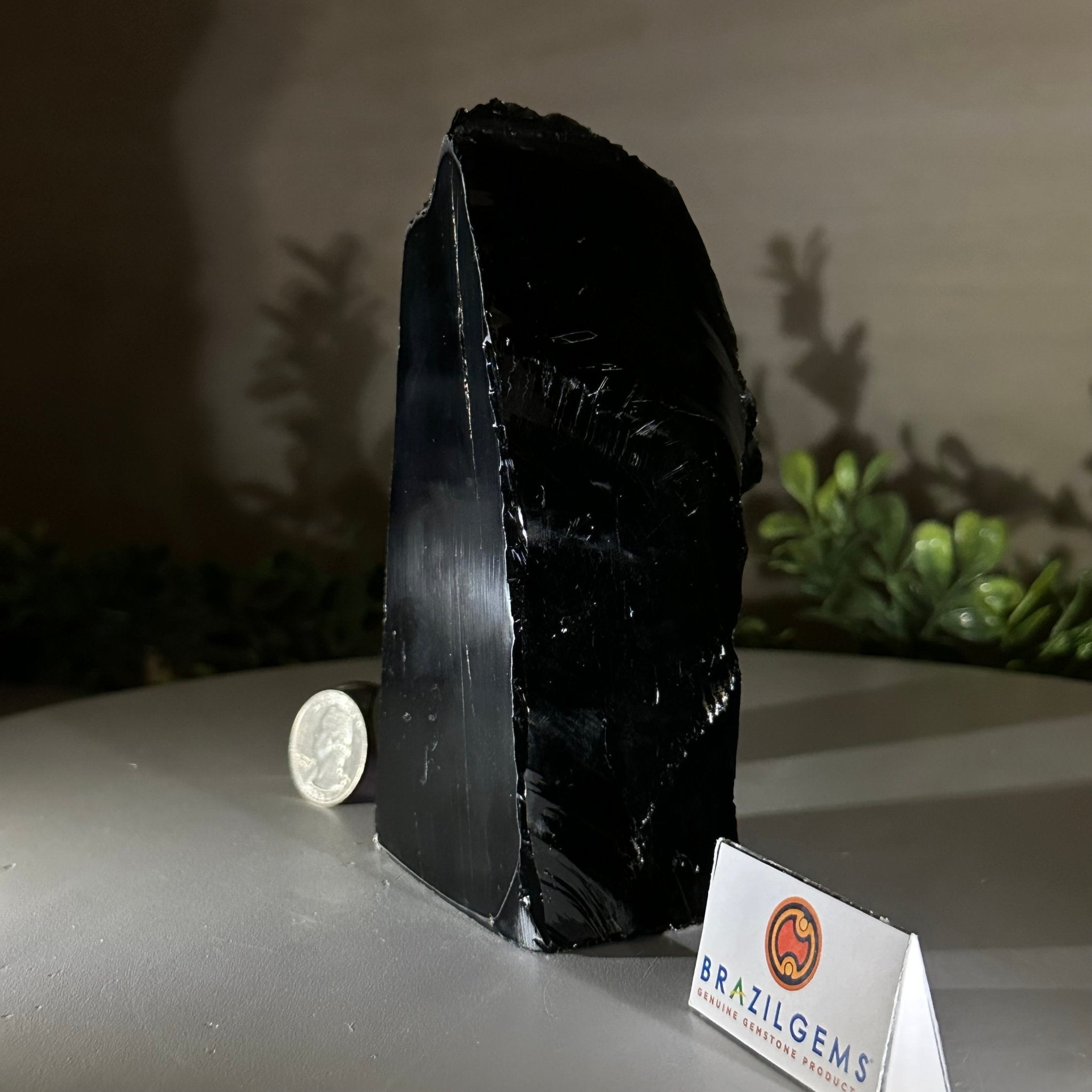 Polished Freeform Black Obsidian Gemstone, 1.3 lbs & 5.5” Tall #3303BK - 002 - Brazil GemsBrazil GemsPolished Freeform Black Obsidian Gemstone, 1.3 lbs & 5.5” Tall #3303BK - 002Freeform & Unique Shapes3303BK - 002