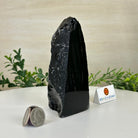 Polished Freeform Black Obsidian Gemstone, 1.3 lbs & 5.5” Tall #3303BK - 002 - Brazil GemsBrazil GemsPolished Freeform Black Obsidian Gemstone, 1.3 lbs & 5.5” Tall #3303BK - 002Freeform & Unique Shapes3303BK - 002