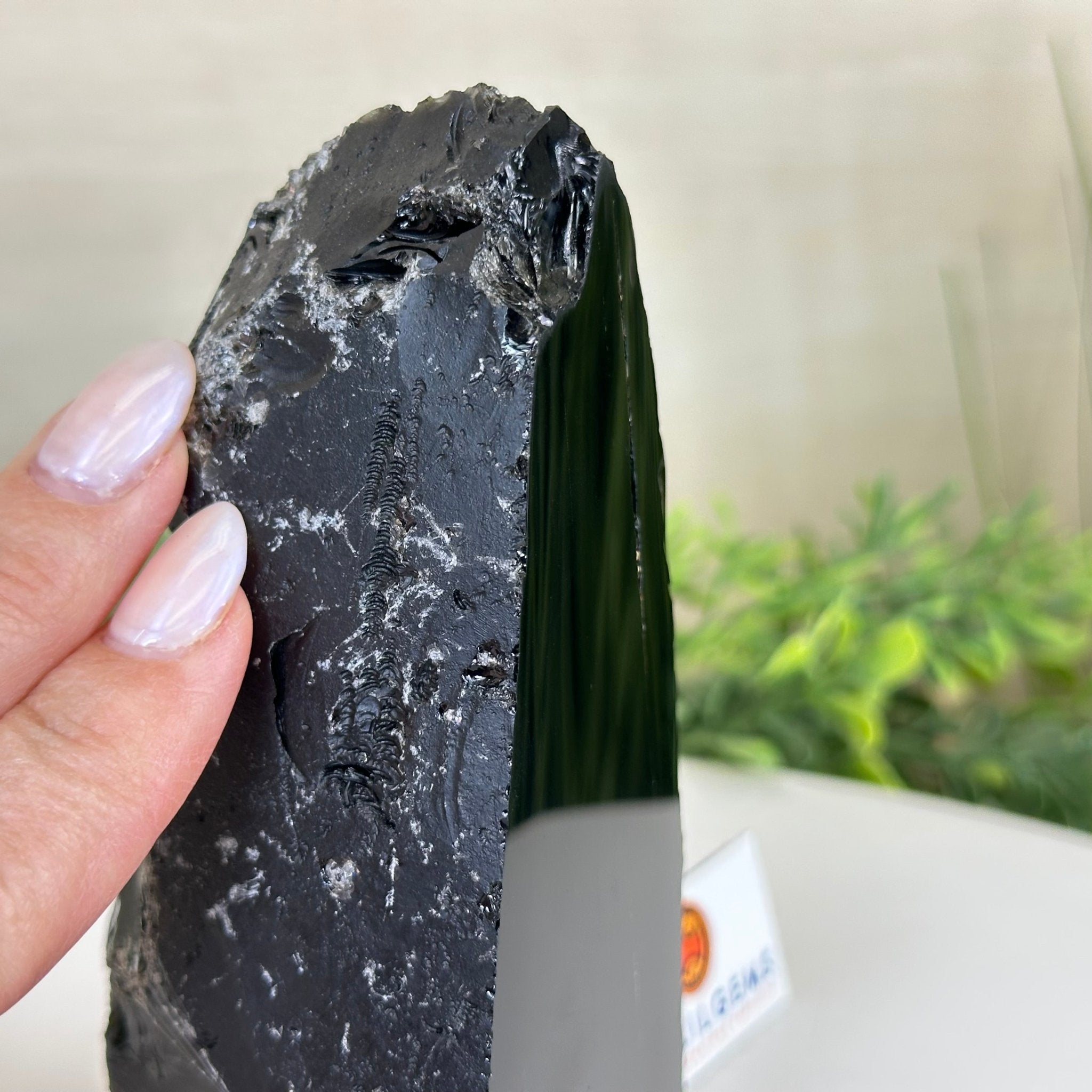Polished Freeform Black Obsidian Gemstone, 1.3 lbs & 5.5” Tall #3303BK - 002 - Brazil GemsBrazil GemsPolished Freeform Black Obsidian Gemstone, 1.3 lbs & 5.5” Tall #3303BK - 002Freeform & Unique Shapes3303BK - 002