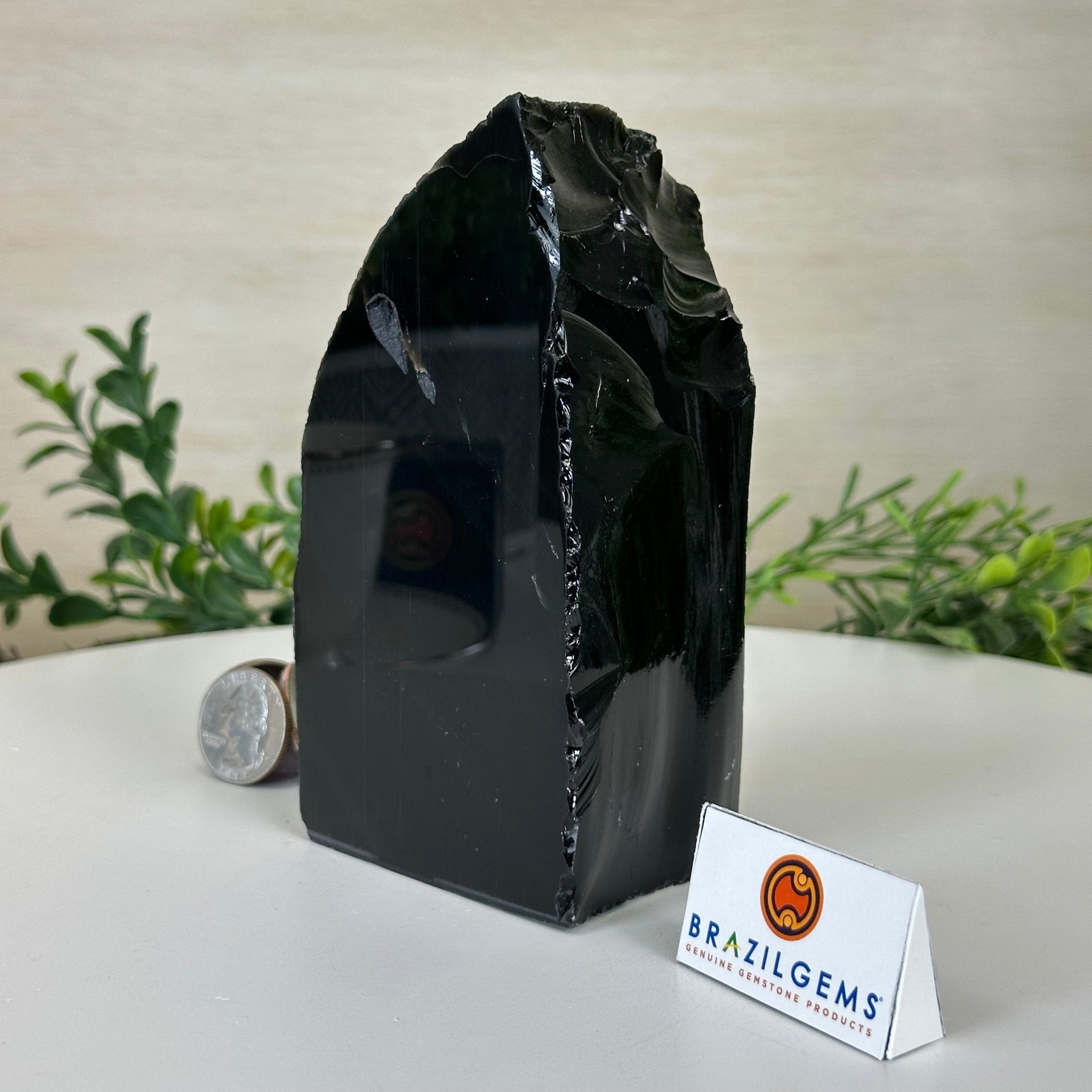Polished Freeform Black Obsidian Gemstone, 1.8 lbs & 5.5” Tall #3303BK - 003 - Brazil GemsBrazil GemsPolished Freeform Black Obsidian Gemstone, 1.8 lbs & 5.5” Tall #3303BK - 003Freeform & Unique Shapes3303BK - 003