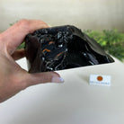 Polished Freeform Black Obsidian Gemstone, 3.8 lbs & 6.2” Tall #3303BK - 004 - Brazil GemsBrazil GemsPolished Freeform Black Obsidian Gemstone, 3.8 lbs & 6.2” Tall #3303BK - 004Freeform & Unique Shapes3303BK - 004