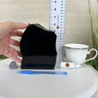 Polished Freeform Black Obsidian Gemstone, 3.8 lbs & 6.2” Tall #3303BK - 004 - Brazil GemsBrazil GemsPolished Freeform Black Obsidian Gemstone, 3.8 lbs & 6.2” Tall #3303BK - 004Freeform & Unique Shapes3303BK - 004