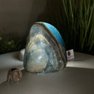 Polished Freeform Blue Onyx Gemstone, 2.5 lbs & 4.5” Tall #3301BX - 007 - Brazil GemsBrazil GemsPolished Freeform Blue Onyx Gemstone, 2.5 lbs & 4.5” Tall #3301BX - 007Freeform & Unique Shapes3301BX - 007
