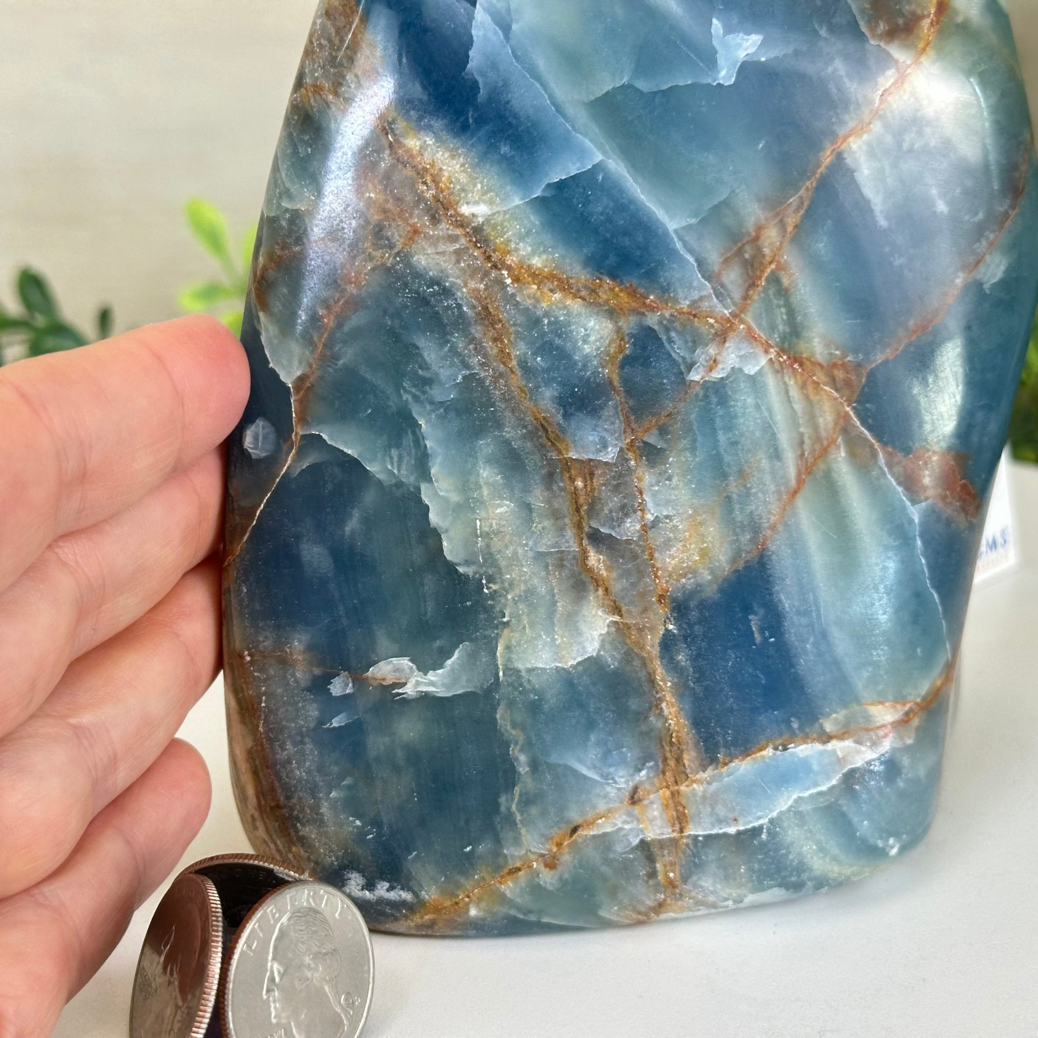 Polished Freeform Blue Onyx Gemstone, 5.5 lbs & 6.3” Tall #3301BX - 009 - Brazil GemsBrazil GemsPolished Freeform Blue Onyx Gemstone, 5.5 lbs & 6.3” Tall #3301BX - 009Freeform & Unique Shapes3301BX - 009
