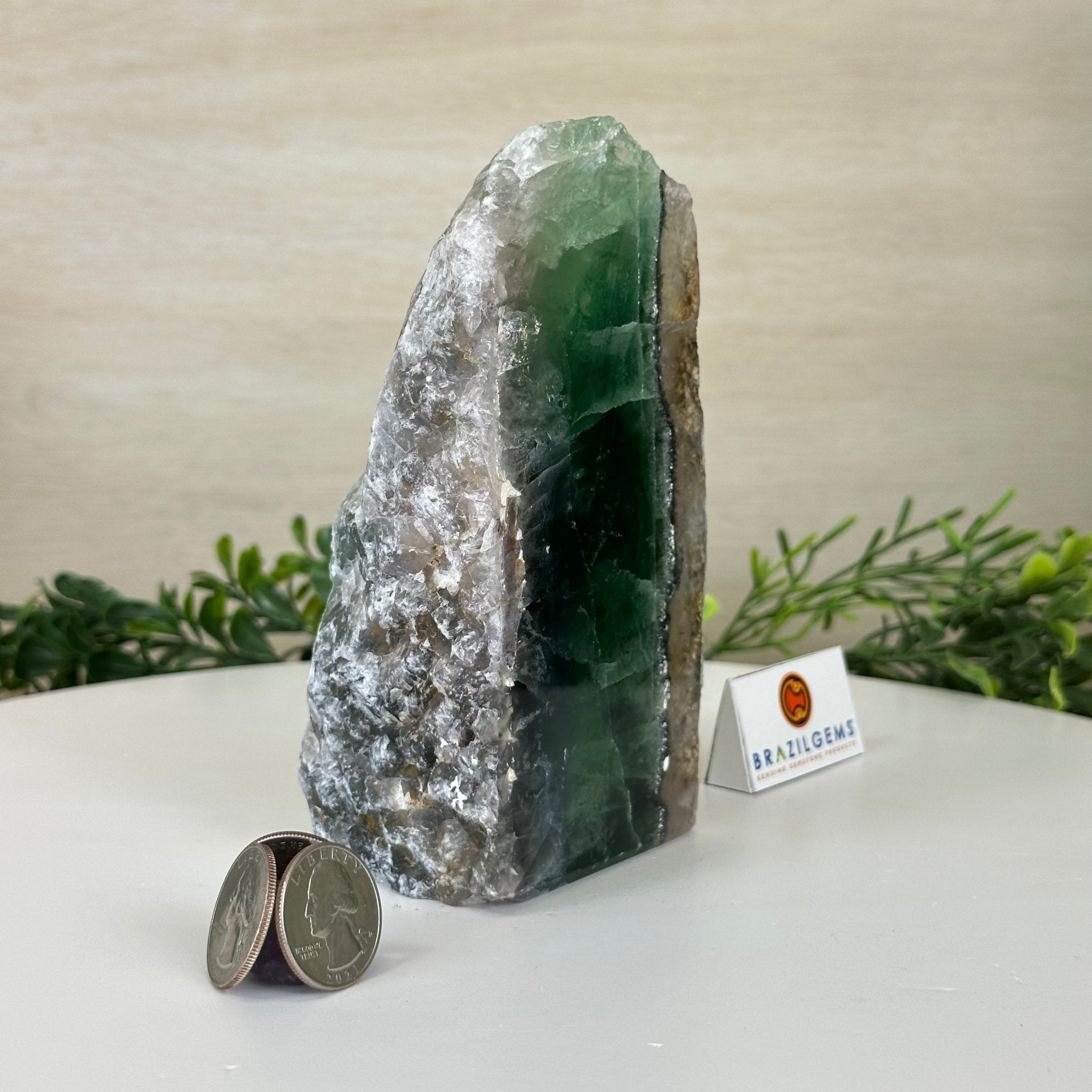 Polished Freeform Fluorite Gemstone, 2.8 lbs & 5.8” Tall #3303FL - 001 - Brazil GemsBrazil GemsPolished Freeform Fluorite Gemstone, 2.8 lbs & 5.8” Tall #3303FL - 001Freeform & Unique Shapes3303FL - 001
