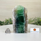 Polished Freeform Fluorite Gemstone, 2.8 lbs & 5.8” Tall #3303FL - 001 - Brazil GemsBrazil GemsPolished Freeform Fluorite Gemstone, 2.8 lbs & 5.8” Tall #3303FL - 001Freeform & Unique Shapes3303FL - 001