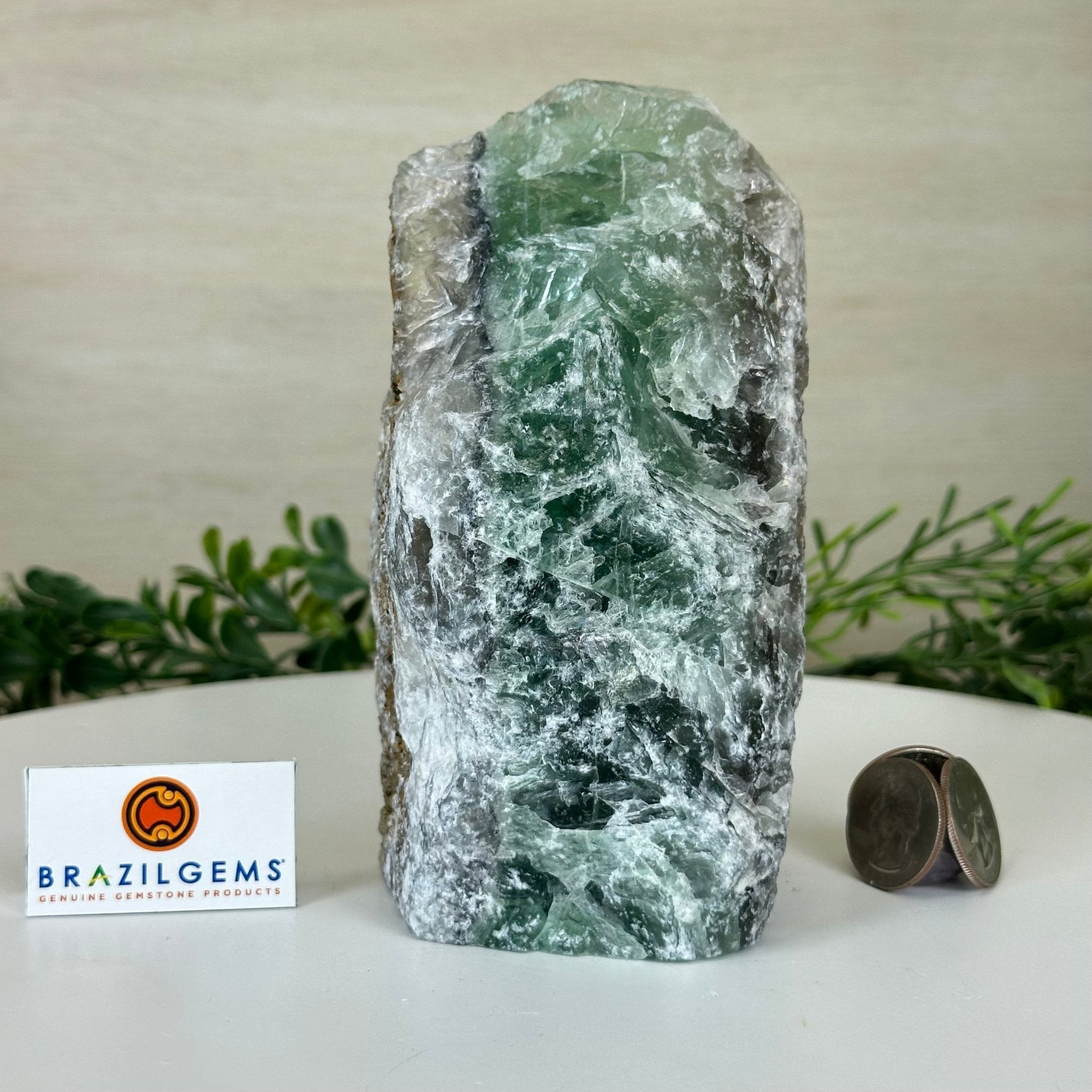 Polished Freeform Fluorite Gemstone, 2.8 lbs & 5.8” Tall #3303FL - 001 - Brazil GemsBrazil GemsPolished Freeform Fluorite Gemstone, 2.8 lbs & 5.8” Tall #3303FL - 001Freeform & Unique Shapes3303FL - 001