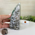 Polished Freeform Fluorite Gemstone, 2.8 lbs & 5.8” Tall #3303FL - 001 - Brazil GemsBrazil GemsPolished Freeform Fluorite Gemstone, 2.8 lbs & 5.8” Tall #3303FL - 001Freeform & Unique Shapes3303FL - 001