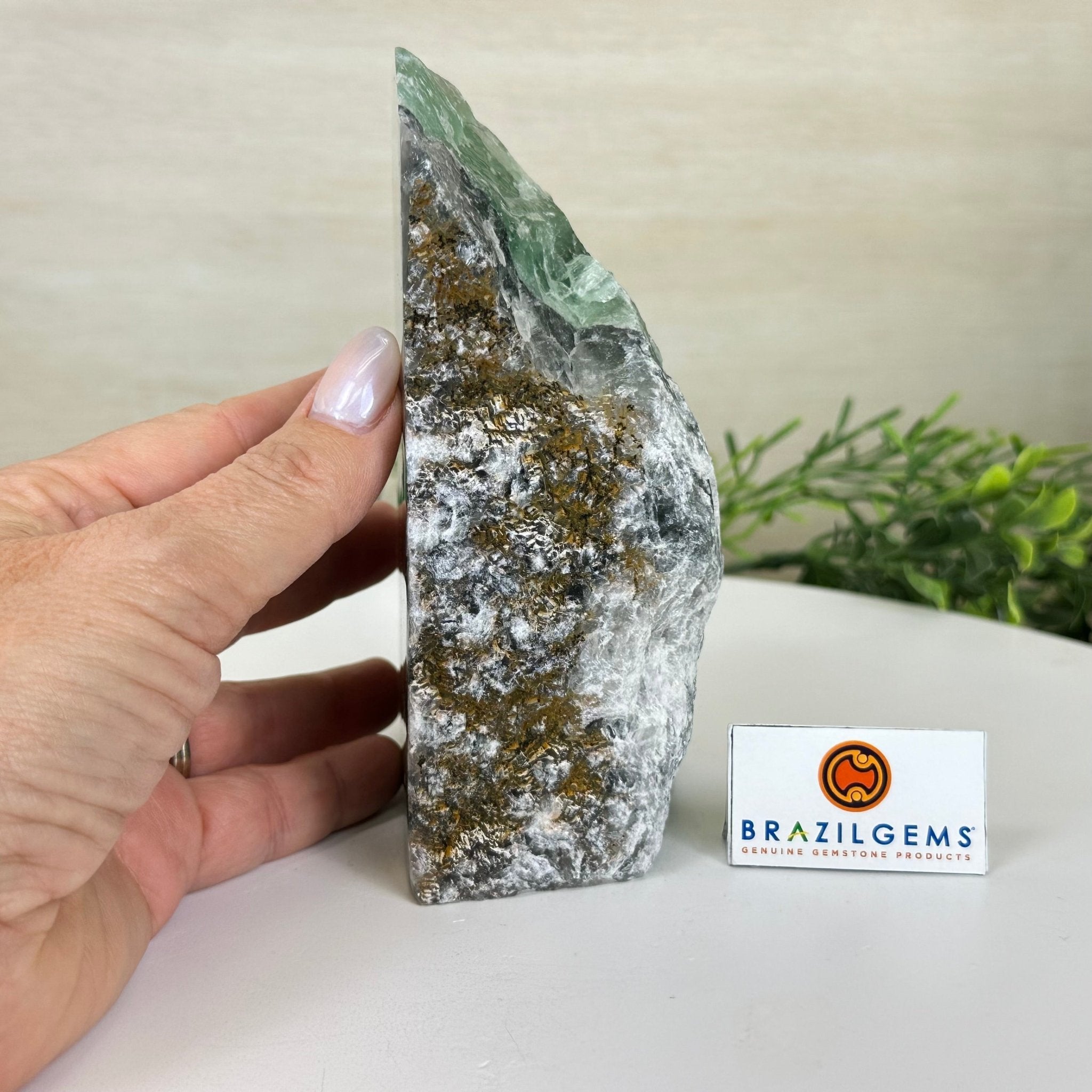 Polished Freeform Fluorite Gemstone, 2.8 lbs & 5.8” Tall #3303FL - 001 - Brazil GemsBrazil GemsPolished Freeform Fluorite Gemstone, 2.8 lbs & 5.8” Tall #3303FL - 001Freeform & Unique Shapes3303FL - 001