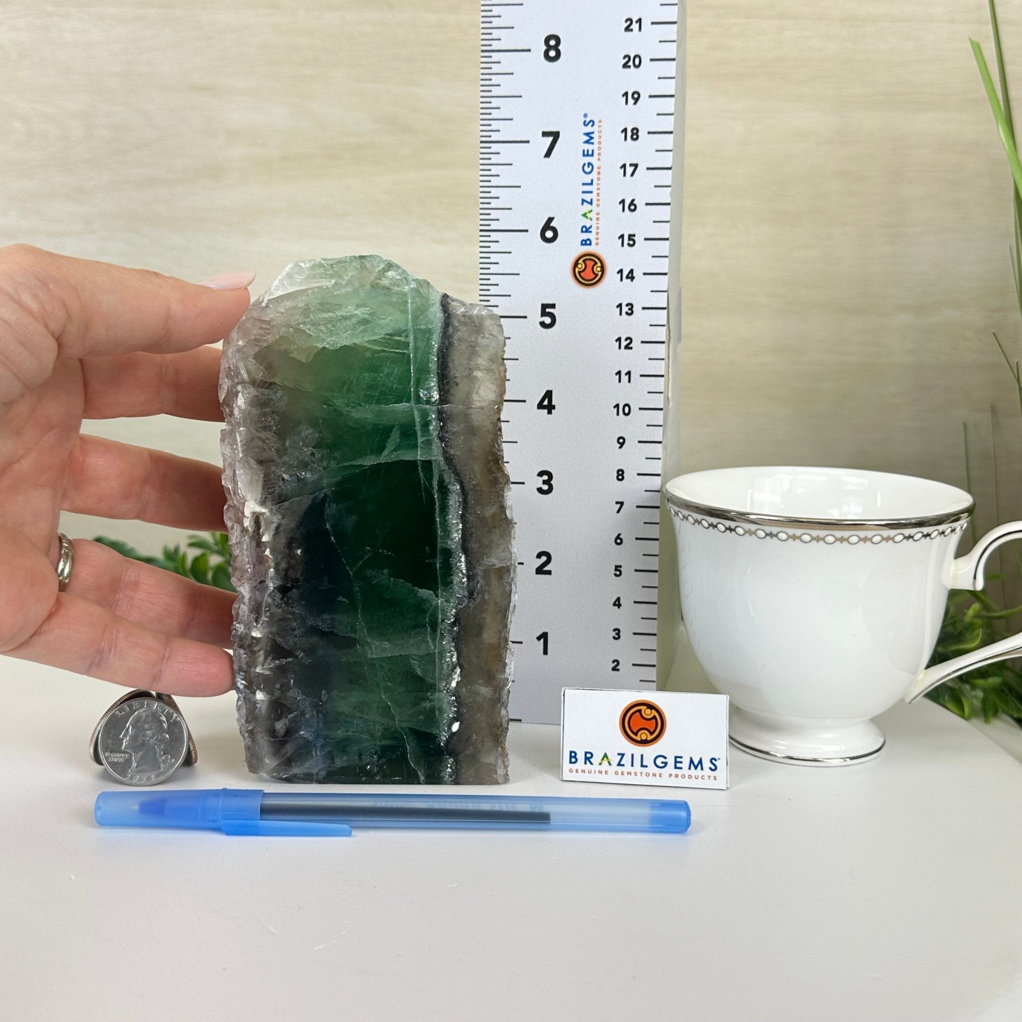 Polished Freeform Fluorite Gemstone, 2.8 lbs & 5.8” Tall #3303FL - 001 - Brazil GemsBrazil GemsPolished Freeform Fluorite Gemstone, 2.8 lbs & 5.8” Tall #3303FL - 001Freeform & Unique Shapes3303FL - 001