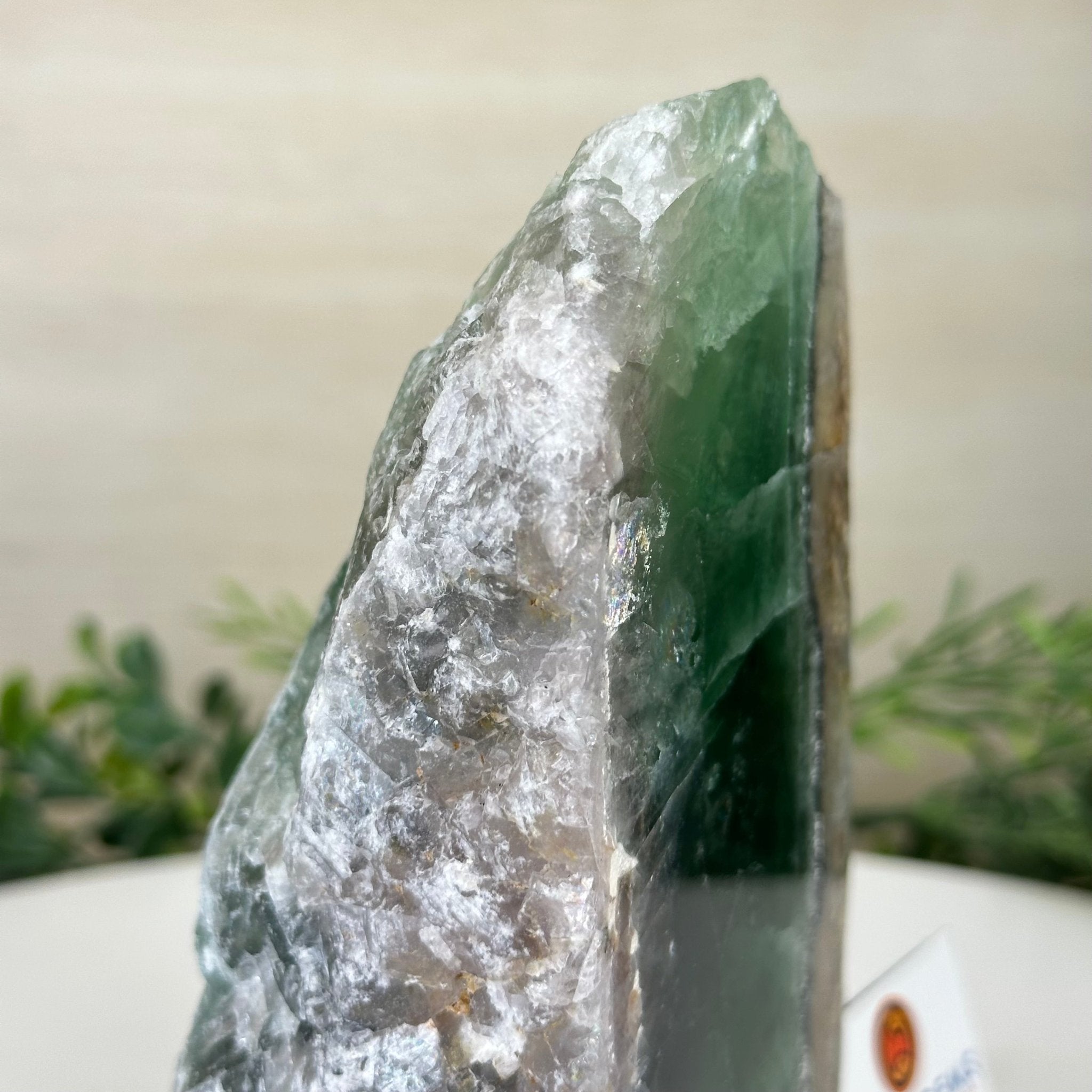 Polished Freeform Fluorite Gemstone, 2.8 lbs & 5.8” Tall #3303FL - 001 - Brazil GemsBrazil GemsPolished Freeform Fluorite Gemstone, 2.8 lbs & 5.8” Tall #3303FL - 001Freeform & Unique Shapes3303FL - 001
